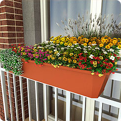 Хотите самый красивый цветущий балкон от цветочных дизайнеров?