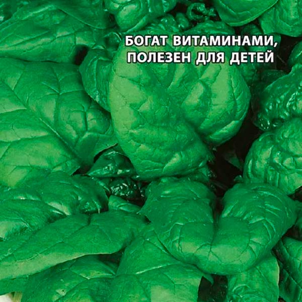 Семена шпината, купить в интернет магазине Semenapost.ru