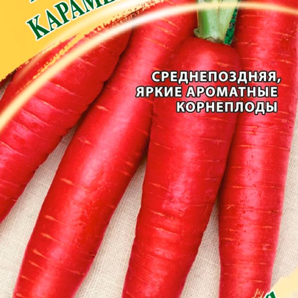 Морковь Карамель Малиновая, 150 шт. Семена от автора