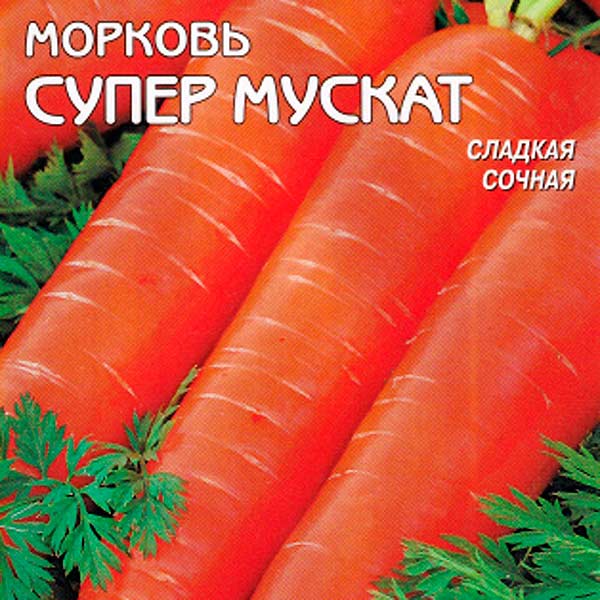 Морковь Супер Мускат, 1300 шт.