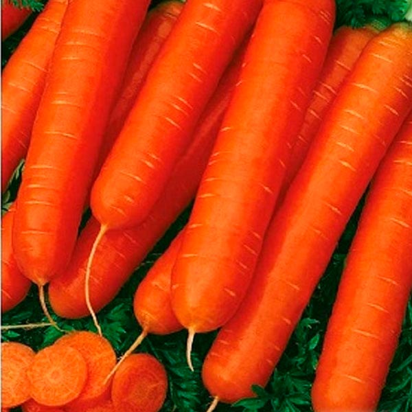 Морковь Нантская Красная, 2 г