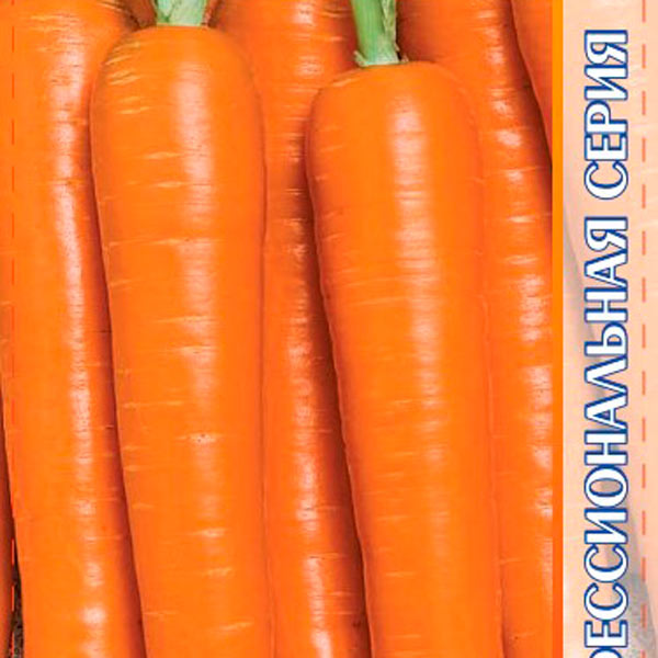 Морковь Карруба F1, 400 шт. Seminis Профессиональная серия