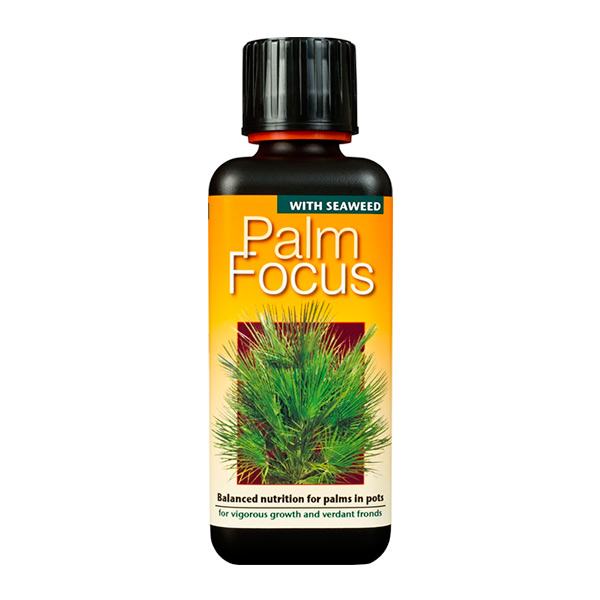 Удобрение для пальм в горшках Palm Focus, 100 мл