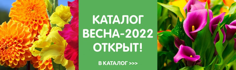 Интернет Магазины Растений Каталог Весна 2022